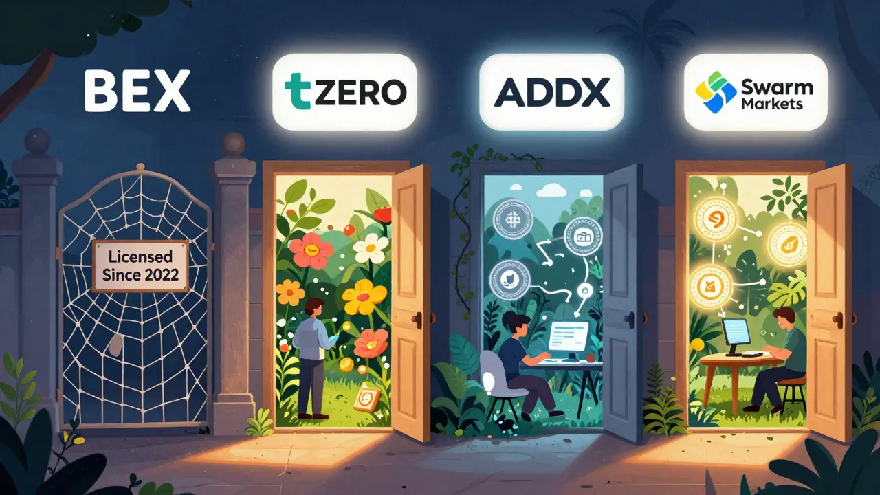 BEX’s closed gate compared to thriving trading platforms with active users and glowing audits.